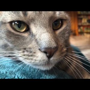 Meet your Posher, Natasha